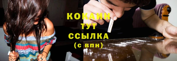 твердый Кукмор