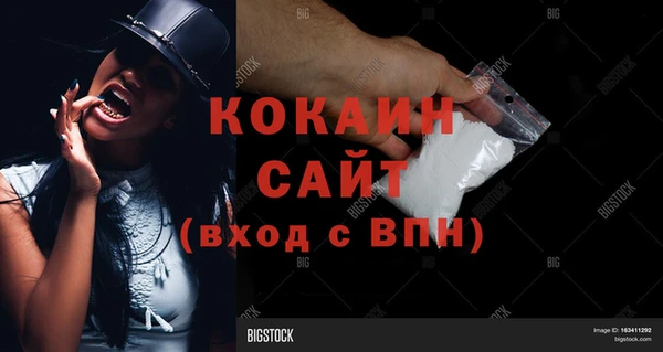 твердый Кукмор