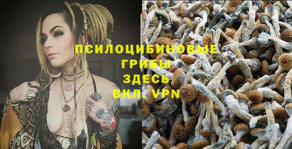 твердый Кукмор